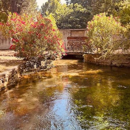 Appartement Fontaine De Vaucluse Extérieur photo